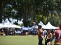 Tn dsc 0872